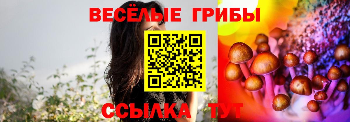 Псилоцибиновые грибы MAGIC MUSHROOMS  Вход с VPN  Старая Купавна 